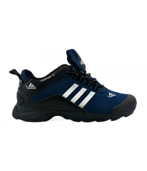 Кроссовки Adidas Terrex Climaproof Winter синие